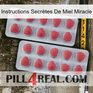 Instructions Secrètes De Miel Miracle 19